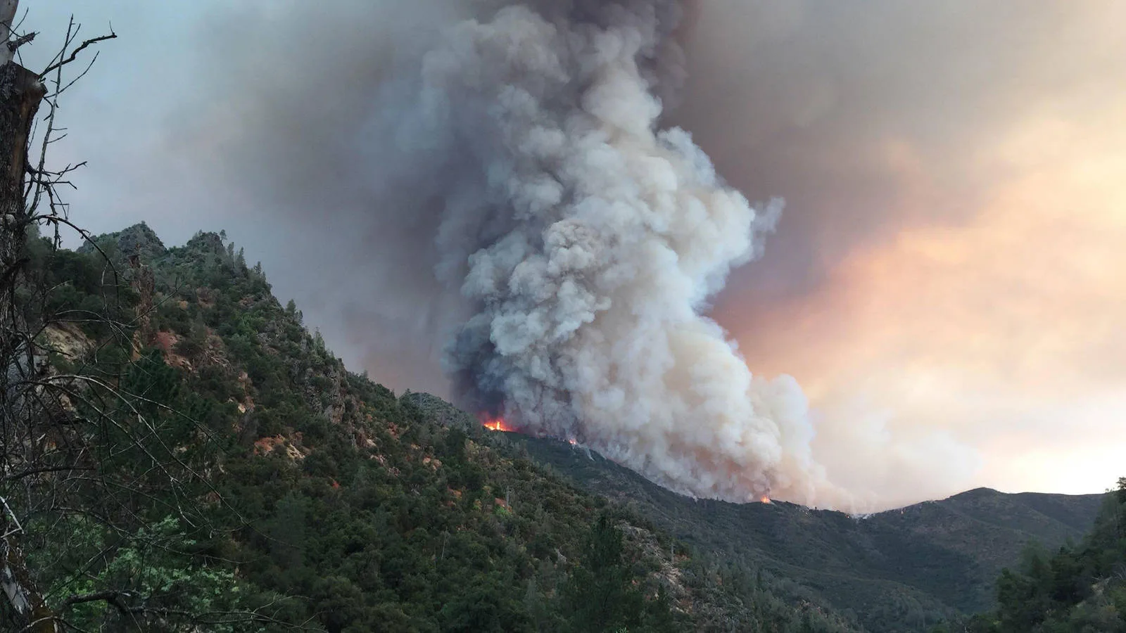 Wildfire smoke column rising over a forested ridge
