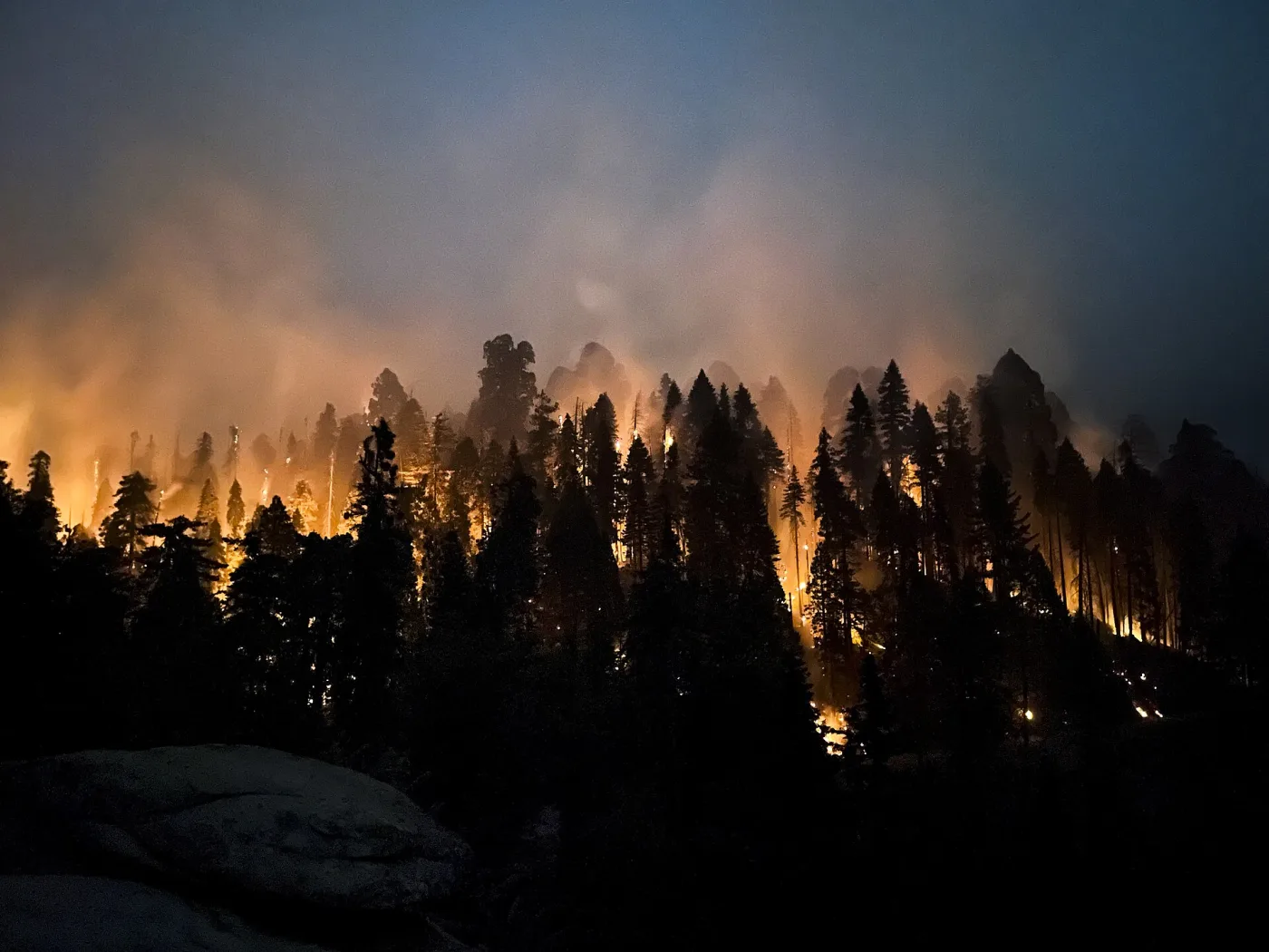 Wildfire at night